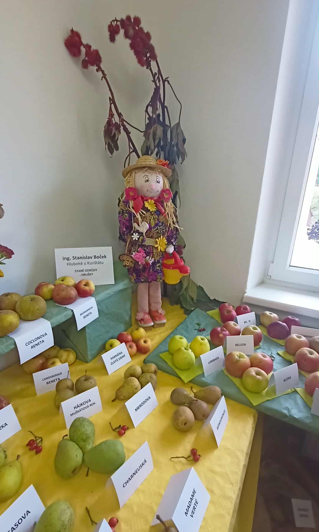 Regionální výstava ovoce a zeleniny