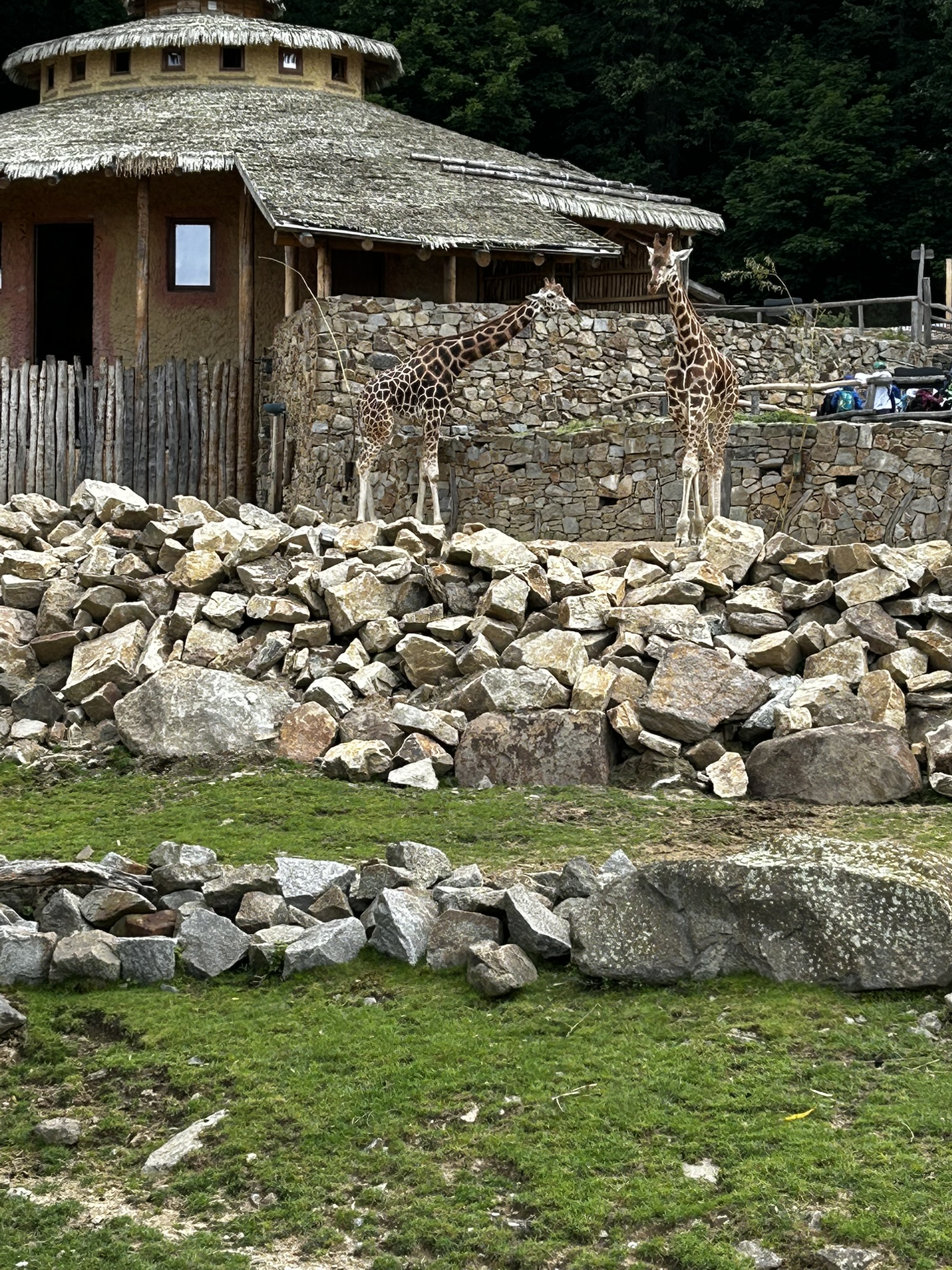 Společný výlet do Zoo Jihlava