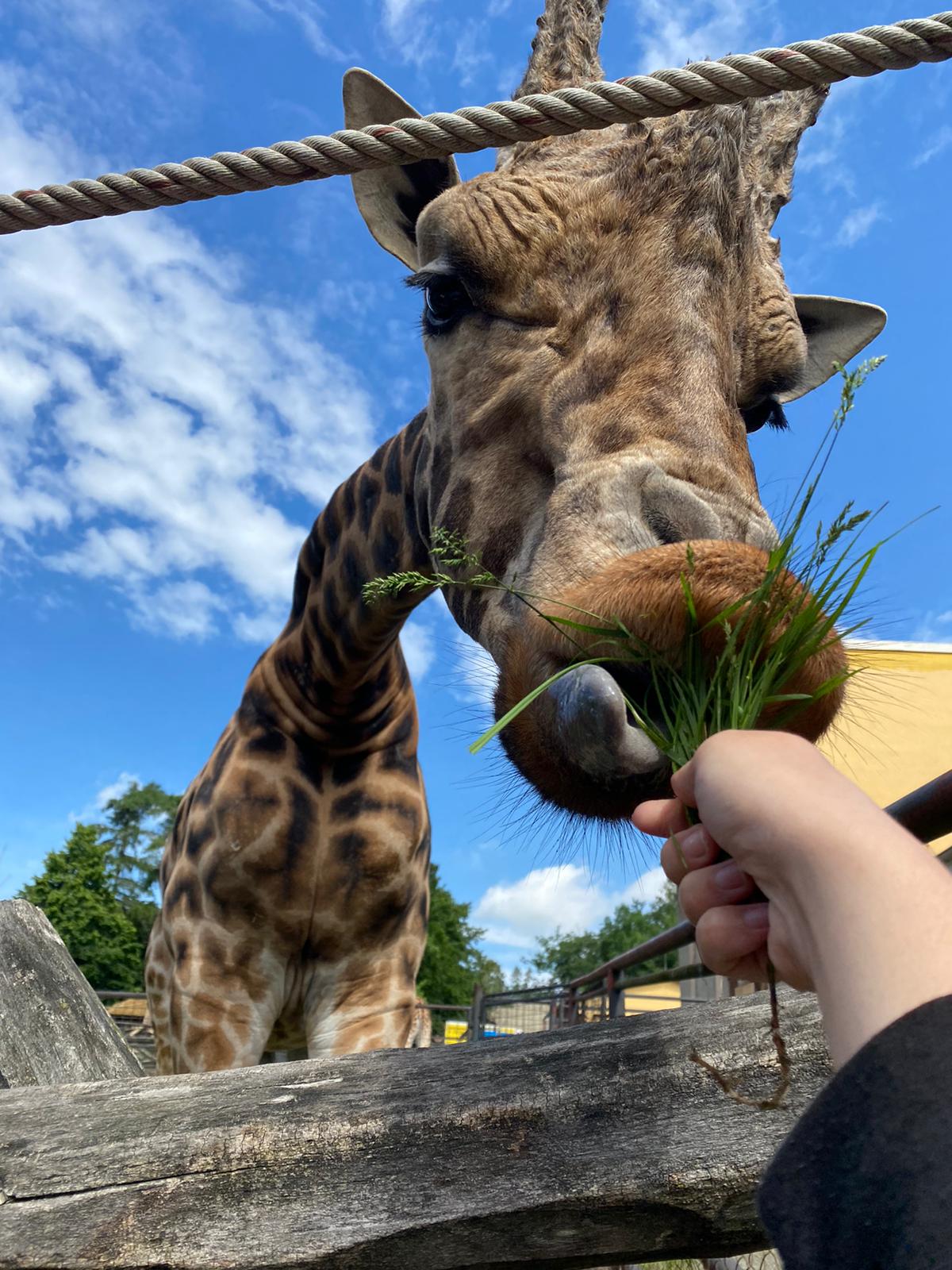 I. třída v Zoo Olomouc