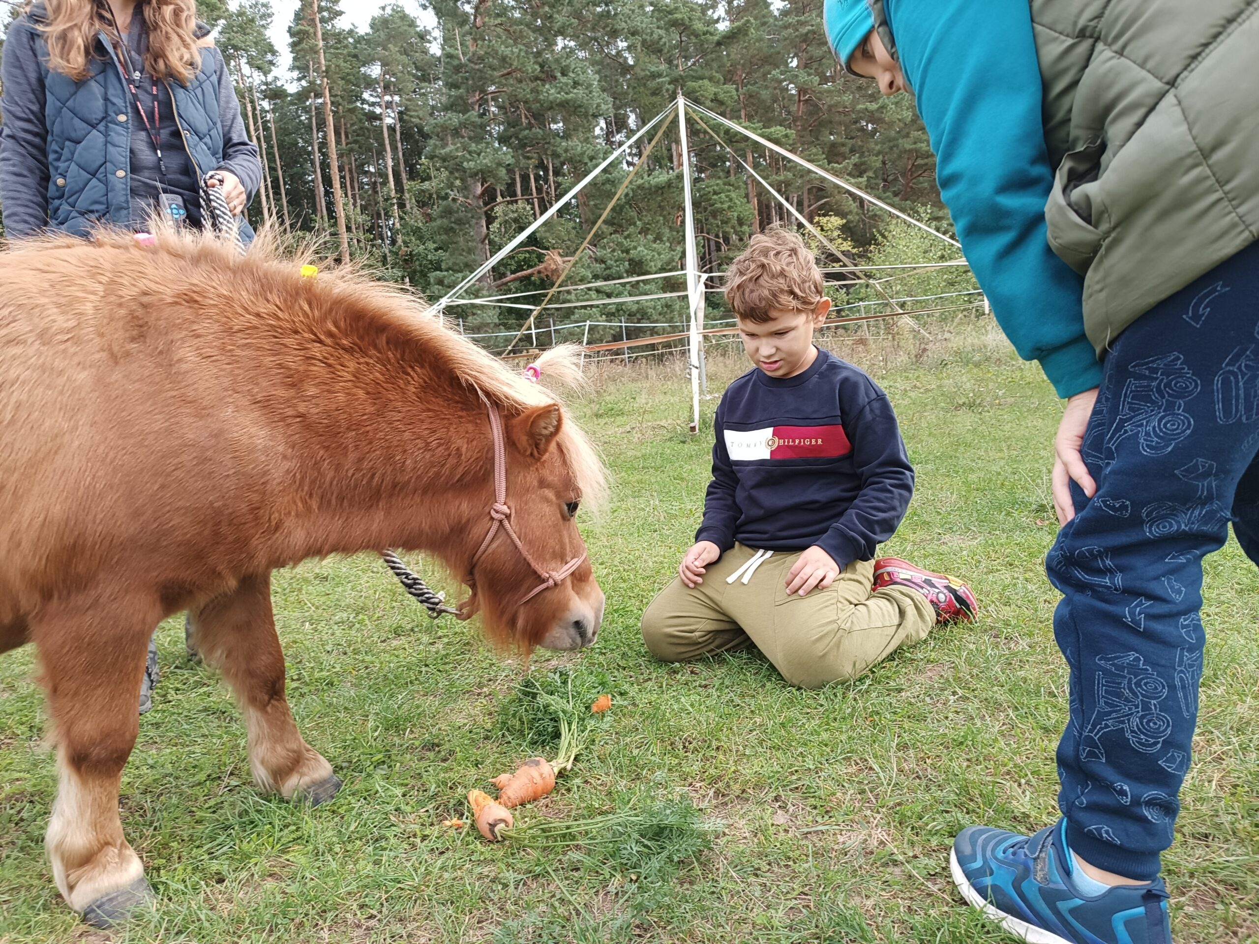 I. TŘÍDA U PONÍKA RÍŠI